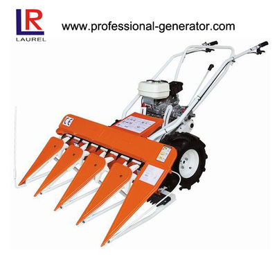 Cargadores de ruedas compactos con distancia entre ejes 800-3, tamaño de neumático 17.5-20.5R25 y capacidad de cucharón de 1.0-2.5 m³